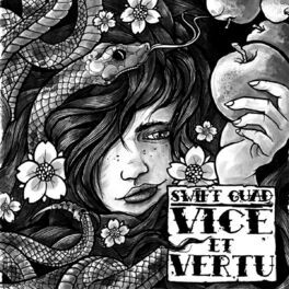 Album cover of Vice & vertu