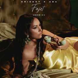 Album cover of Fajet