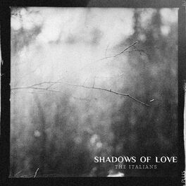 Album cover of Shadows Of Love