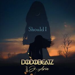 Album cover of Should I