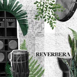 Album cover of Reverbera