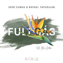 Album cover of Fullgás