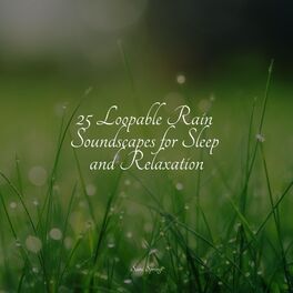 Album cover of 25 Loopable Rain Soundscapes for Sleep and Relaxation