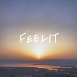 Album cover of Feelit