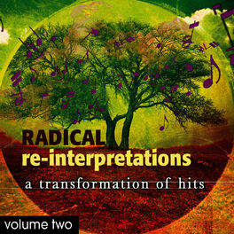 Album cover of Radical Re-Interpretations Vol. 2: A Transformation of Hits