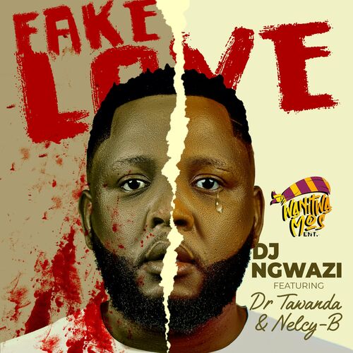 DJ Ngwazi - Fake Love (feat. Dr Tawanda & Nelcy-B): Lyrics And Songs ...