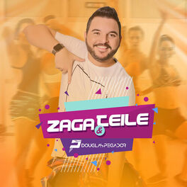Album cover of Zaga e Teile