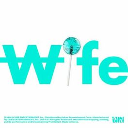 Album cover of Wife