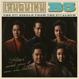 Album cover of เห็นฉันไหม