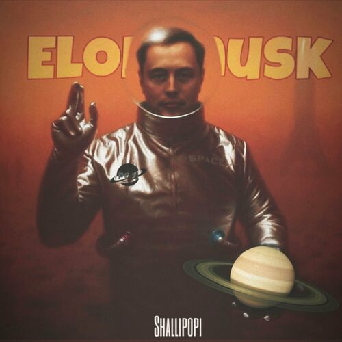 Shallipopi - Elon Musk: Listen With Lyrics | Deezer