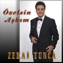 Album cover of Özelsin Aşkım