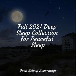 Album cover of Fall 2021 Deep Sleep Collection for Peaceful Sleep