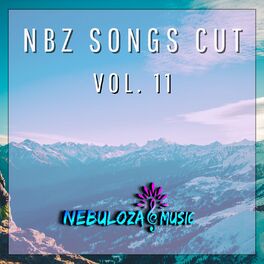 Album cover of Nbz Songs Cut, Vol. 11