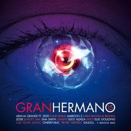 Album cover of Gran Hermano 15
