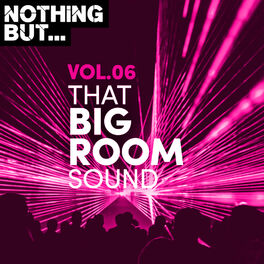 Album cover of Nothing But... That Big Room Sound, Vol. 06