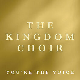 Album cover of You're the Voice