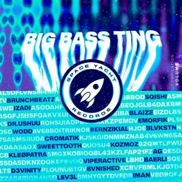 Album cover of Big Bass Ting Vol. 3