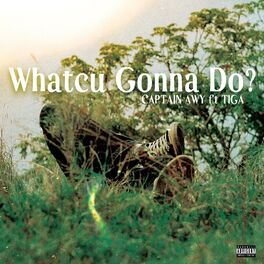 Album cover of Whatcu Gonna Do (feat. Trend Major & Tiga)