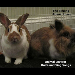 The Singing Animal Lover - The Llama Song: listen with lyrics | Deezer