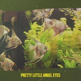 Album cover of Pretty Little Angel Eyes
