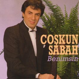 Album cover of Benimsin