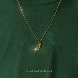 Album cover of Gouldian Finch 4