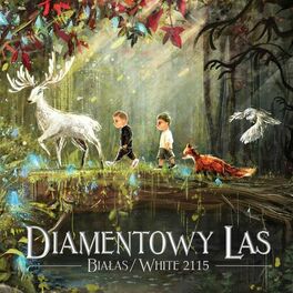 Album cover of Diamentowy Las