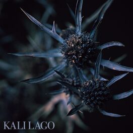 Album cover of Kali Lago