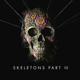 Album cover of Skeletons: Part 3