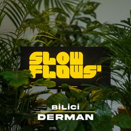 Album cover of Derman (Akustik)
