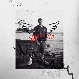 Album cover of Cardellino