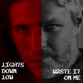 Album cover of LIGHTS DOWN LOW / WASTE IT ON ME