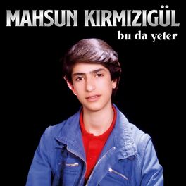 Album cover of Bu Da Yeter