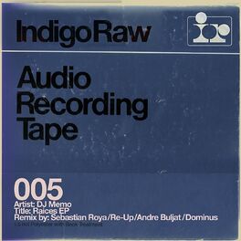 Album cover of Raices Remixes (Original)