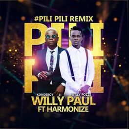 Album cover of Pili Pili (Remix)