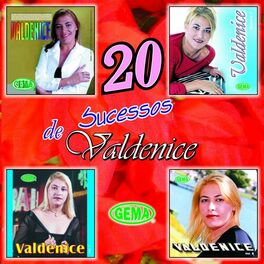Album cover of 20 Sucessos de Valdenice