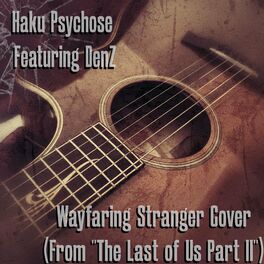 Album cover of Wayfaring Stranger Cover (From 
