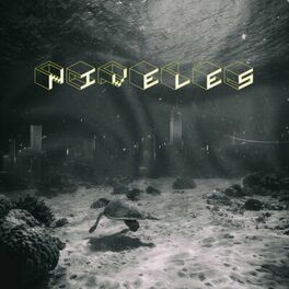 Album cover of Niveles