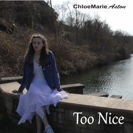 Album cover of Too Nice