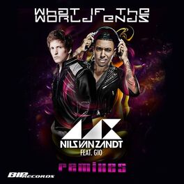 Album cover of What If the World Ends(Remixes)