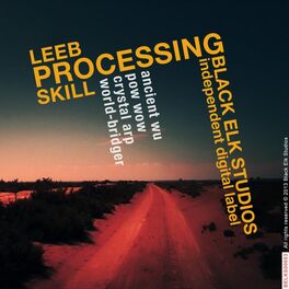 Album cover of Processing Skill