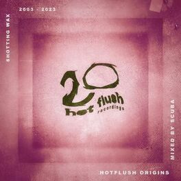 Album cover of Hotflush Origins - Hotflush 20