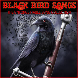Album cover of Black Bird Songs
