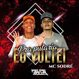 Album cover of Pra Putaria Eu Voltei