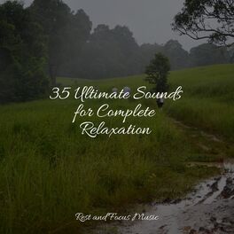 Album cover of 35 Ultimate Sounds for Complete Relaxation