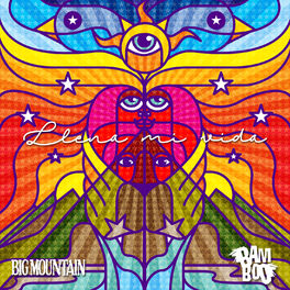 Album cover of Llena Mi Vida
