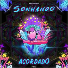 Album cover of Sonhando Acordado