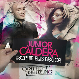 Album cover of Can't Fight This Feeling (Radio Remixes)