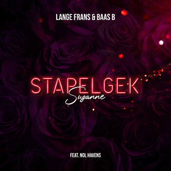Stapelgek (Suzanne) cover