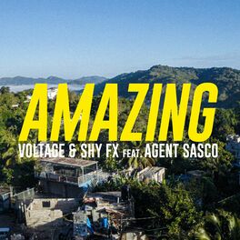 Album cover of Amazing (feat. Agent Sasco)